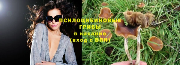 кокаин колумбия Алексин