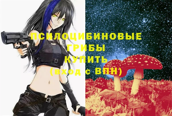 ALPHA PVP Покров