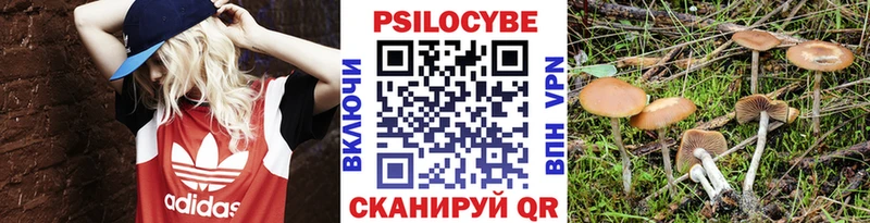 Галлюциногенные грибы Magic Shrooms  наркотики  Заполярный 